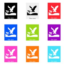 שלט אלומיניום גדול לחדר בעיצוב אישי עם השם שלך בעיצוב נשר אמריקאי גודל השלט 20 × 25 ס"מ.