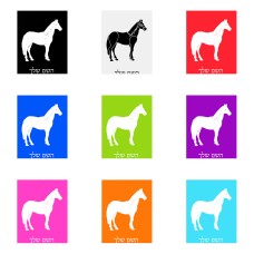 שלט אלומיניום גדול לחדר בעיצוב אישי עם השם שלך בעיצוב סוס גודל השלט 20 × 25 ס"מ.