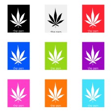 שלט אלומיניום גדול לחדר בעיצוב אישי עם השם שלך בעיצוב עלה מריחואנה - גראס גודל השלט 20 × 25 ס"מ.