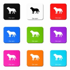 מגנט למקרר בעיצוב אישי עם השם שלך בעיצוב כלב גודל המגנט 6.5 × 6.5 ס"מ