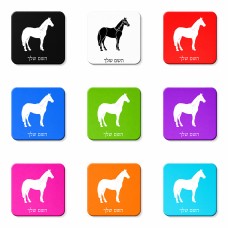 מגנט למקרר בעיצוב אישי עם השם שלך בעיצוב סוס גודל המגנט 6.5 × 6.5 ס"מ