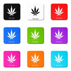 מגנט למקרר בעיצוב אישי עם השם שלך בעיצוב עלה מריחואנה - גראס גודל המגנט 6.5 × 6.5 ס"מ