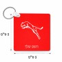 מחזיק מפתחות בצורת ריבוע בעיצוב אישי עם השם שלך בעיצוב פומה גודל המחזיק 5 × 5 ס"מ