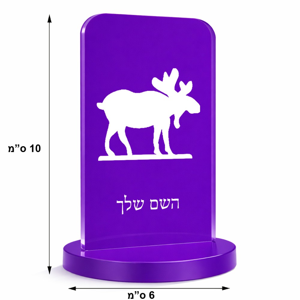 סטנד תמונה מעוצב בעיצוב אישי עם השם שלך בעיצוב דישון גודל 6 × 10 ס"מ