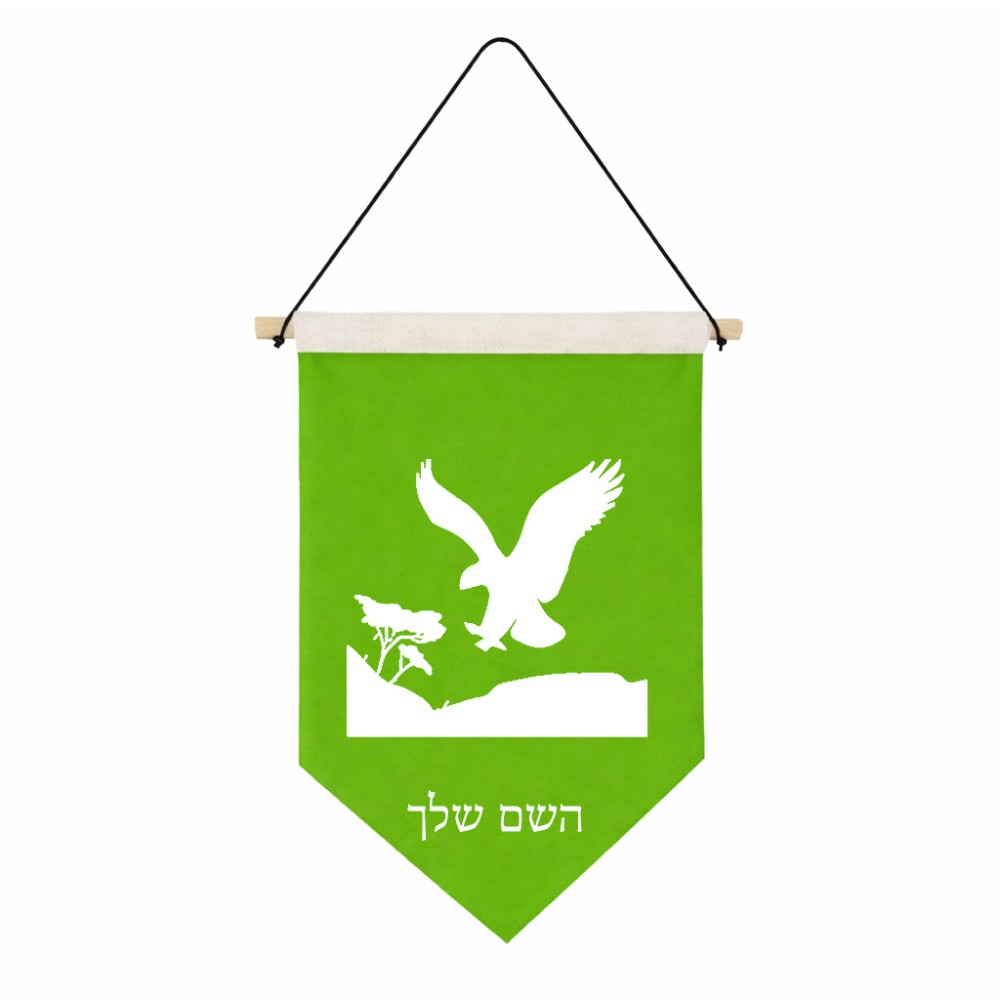 דגל לתליה על קיר בעיצוב אישי עם השם שלך בעיצוב נשר אמריקאי גודל 30 × 19.5 ס"מ