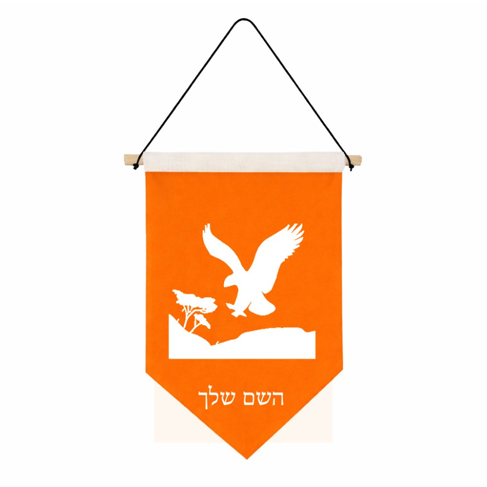 דגל לתליה על קיר בעיצוב אישי עם השם שלך בעיצוב נשר אמריקאי גודל 30 × 19.5 ס"מ