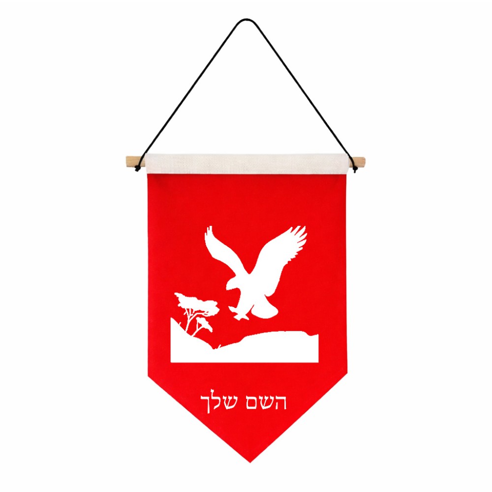 דגל לתליה על קיר בעיצוב אישי עם השם שלך בעיצוב נשר אמריקאי גודל 30 × 19.5 ס"מ