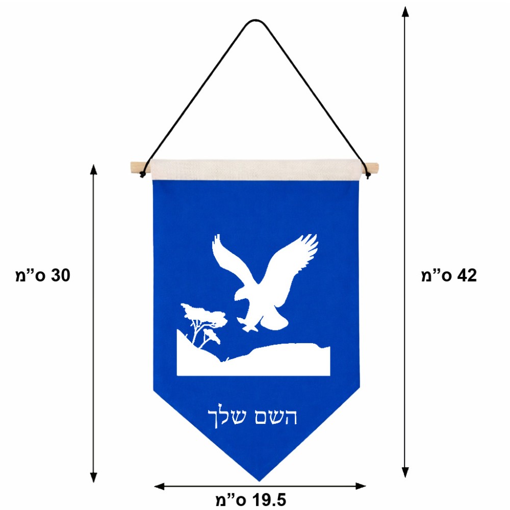 דגל לתליה על קיר בעיצוב אישי עם השם שלך בעיצוב נשר אמריקאי גודל 30 × 19.5 ס"מ