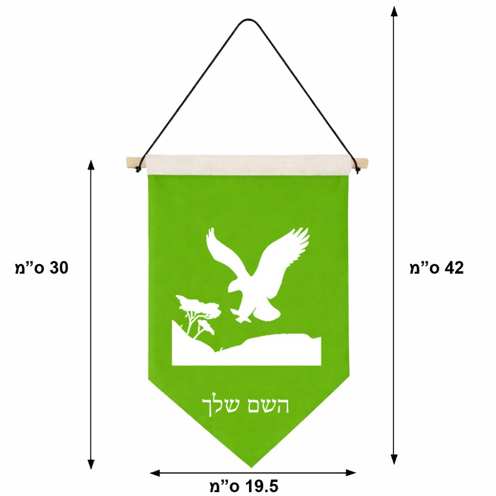 דגל לתליה על קיר בעיצוב אישי עם השם שלך בעיצוב נשר אמריקאי גודל 30 × 19.5 ס"מ