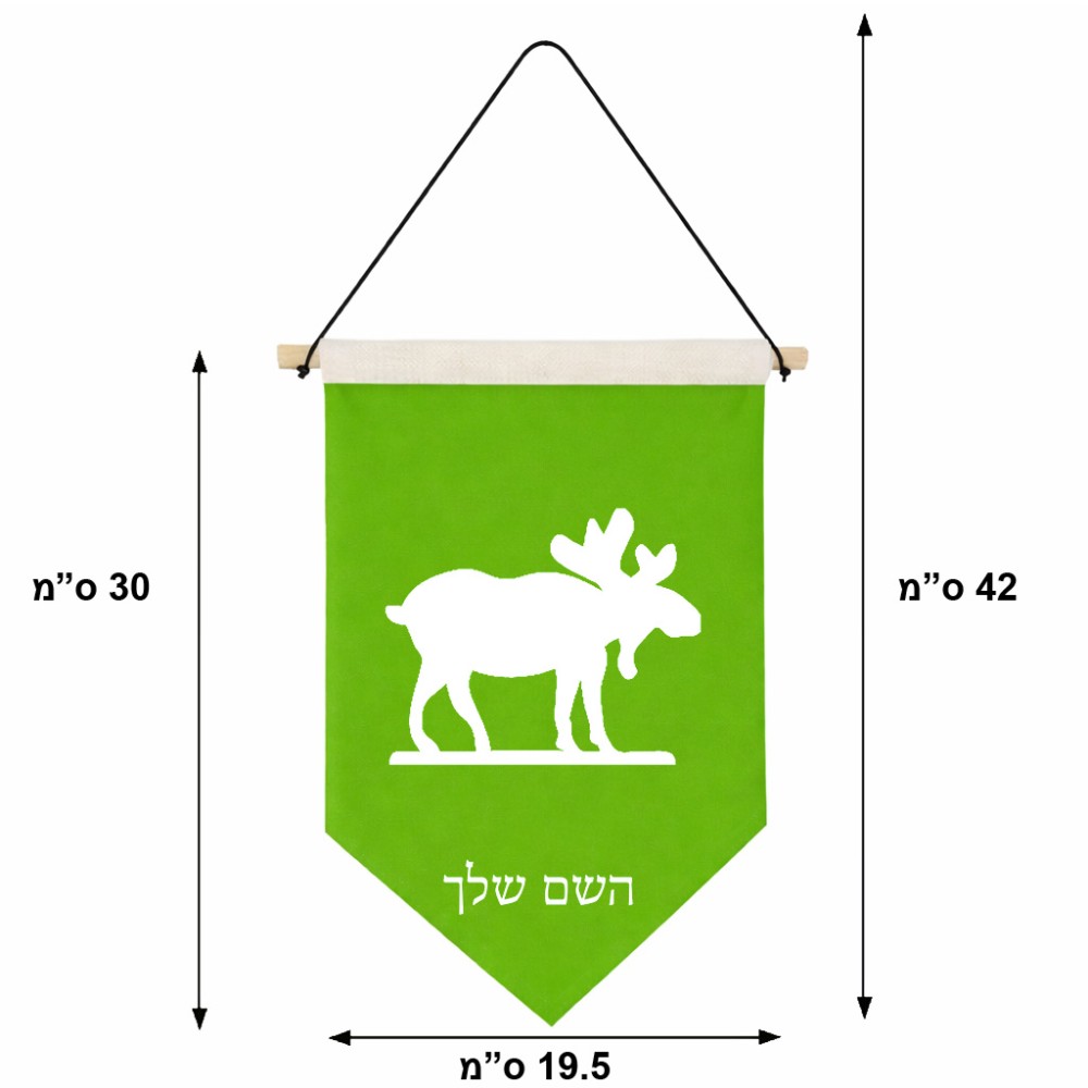 דגל לתליה על קיר בעיצוב אישי עם השם שלך בעיצוב דישון גודל 30 × 19.5 ס"מ