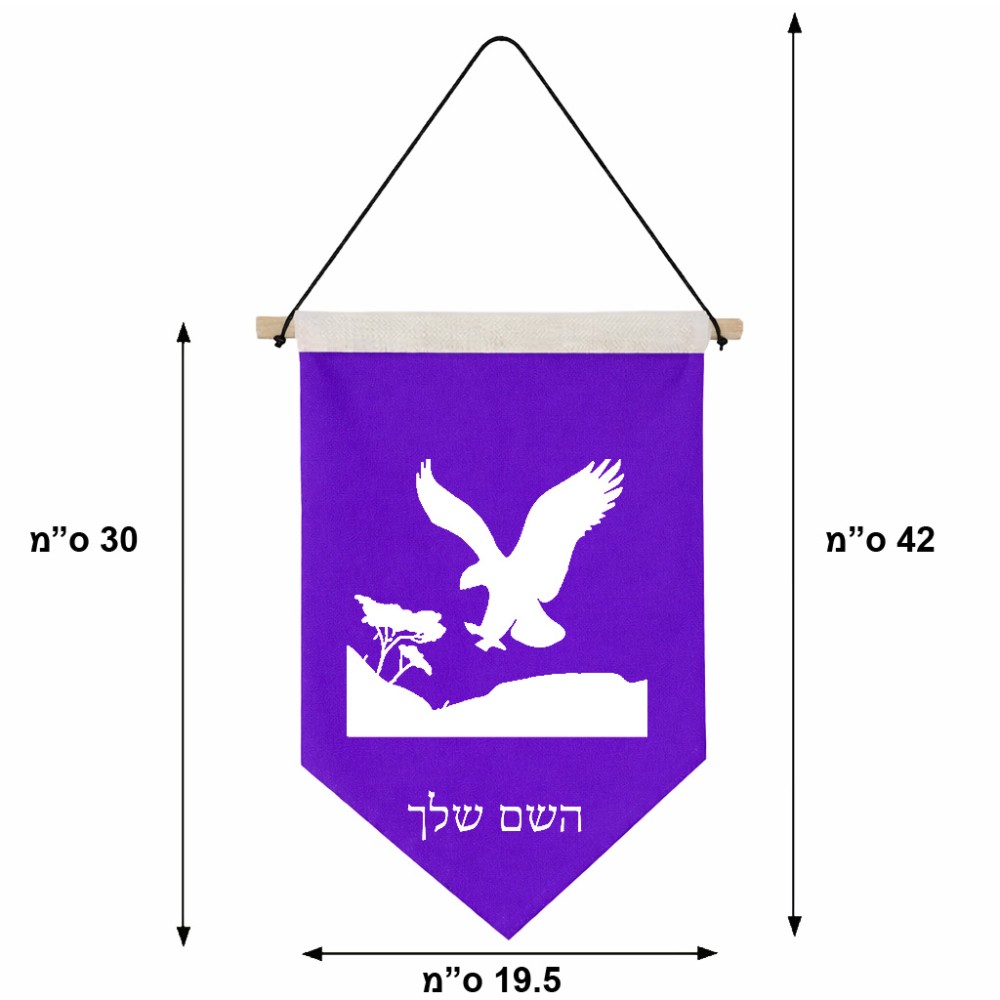 דגל לתליה על קיר בעיצוב אישי עם השם שלך בעיצוב נשר אמריקאי גודל 30 × 19.5 ס"מ