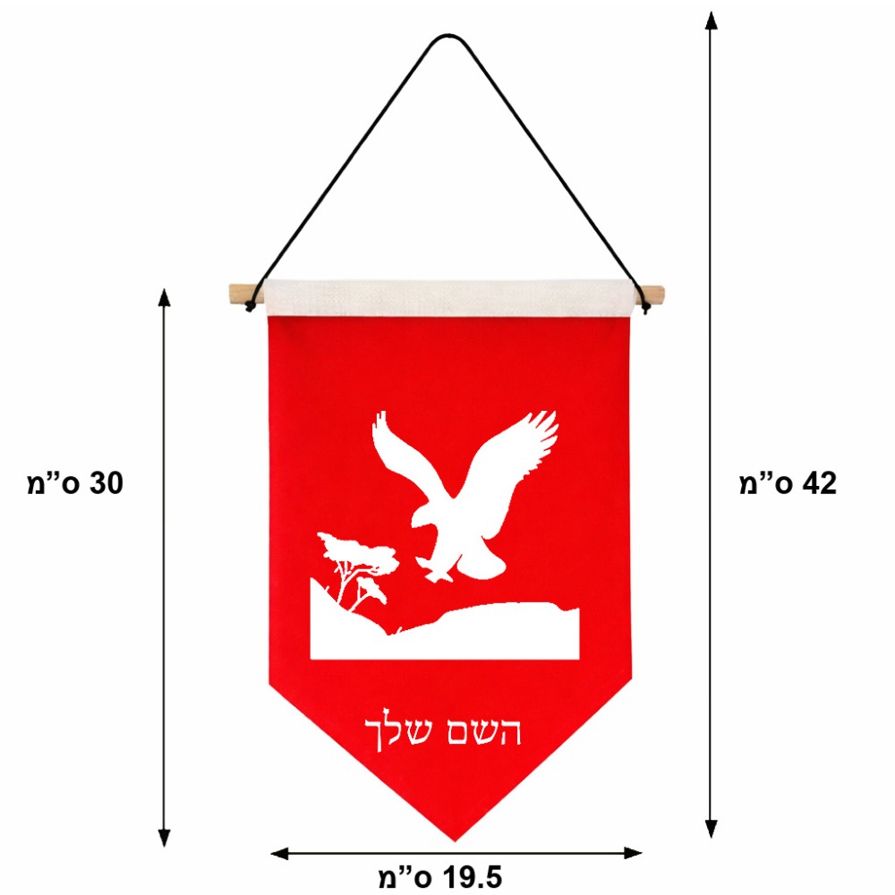 דגל לתליה על קיר בעיצוב אישי עם השם שלך בעיצוב נשר אמריקאי גודל 30 × 19.5 ס"מ