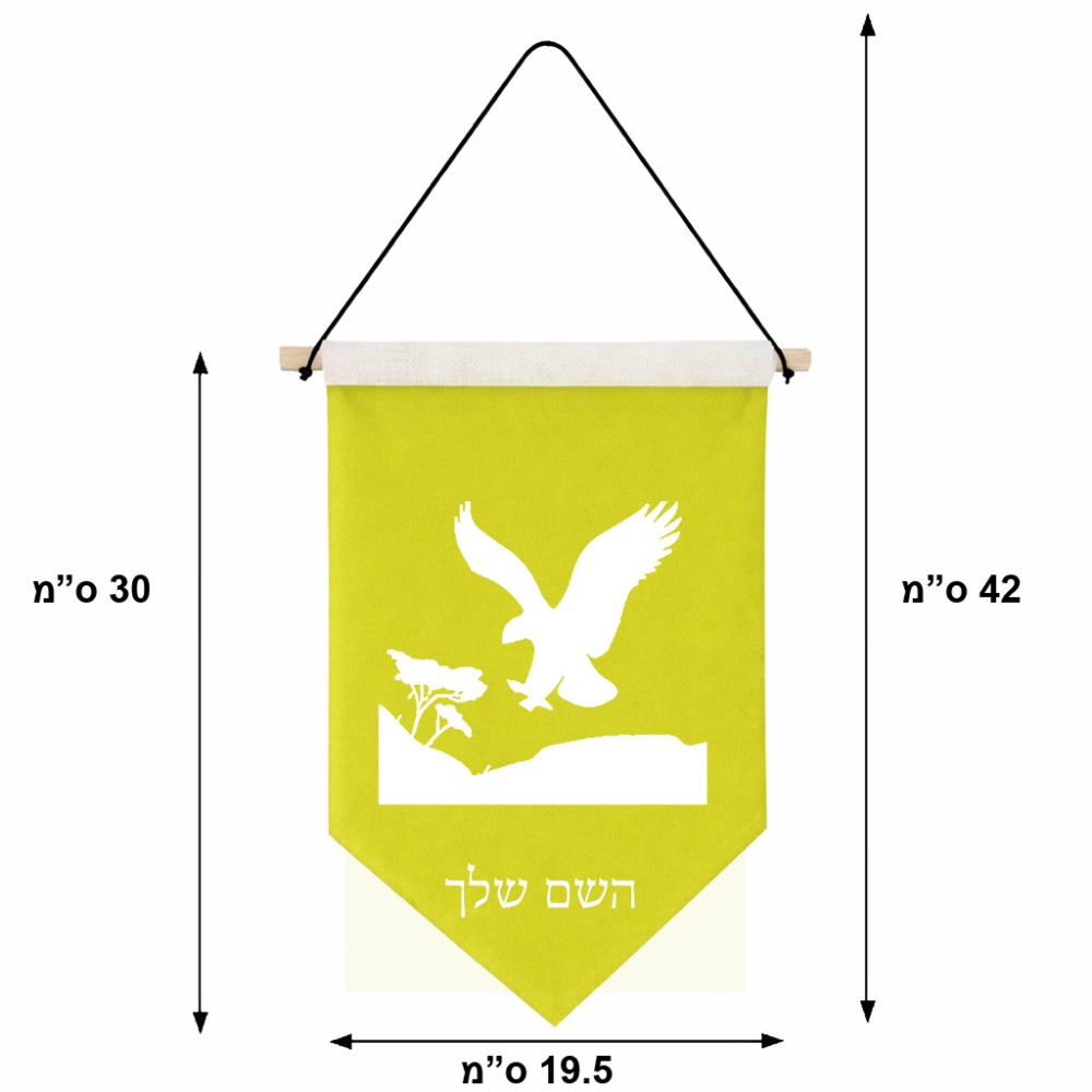 דגל לתליה על קיר בעיצוב אישי עם השם שלך בעיצוב נשר אמריקאי גודל 30 × 19.5 ס"מ
