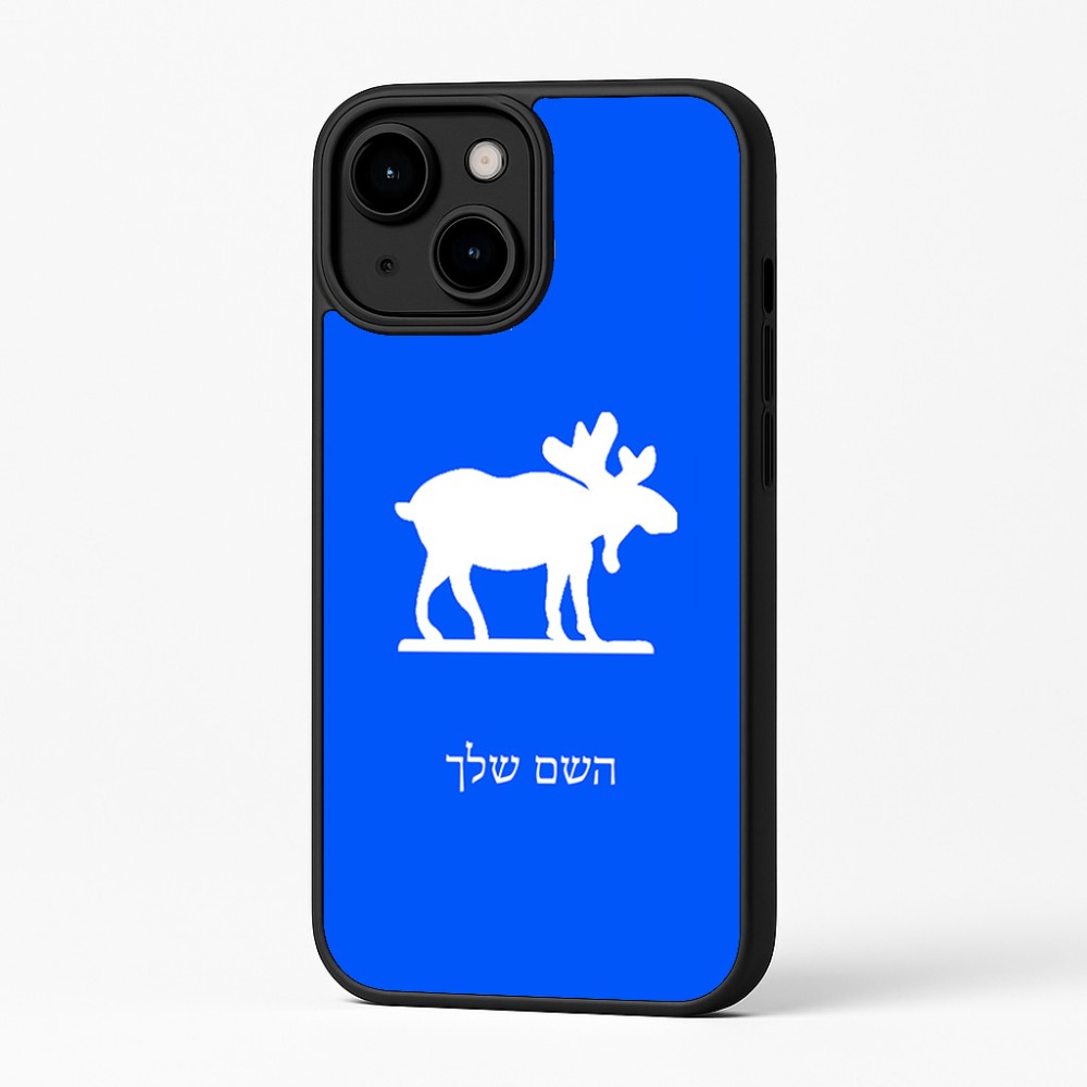 כיסוי בעיצוב אישי עם השם שלך לדגם - Apple iPhone 16 Plus בעיצוב דישון