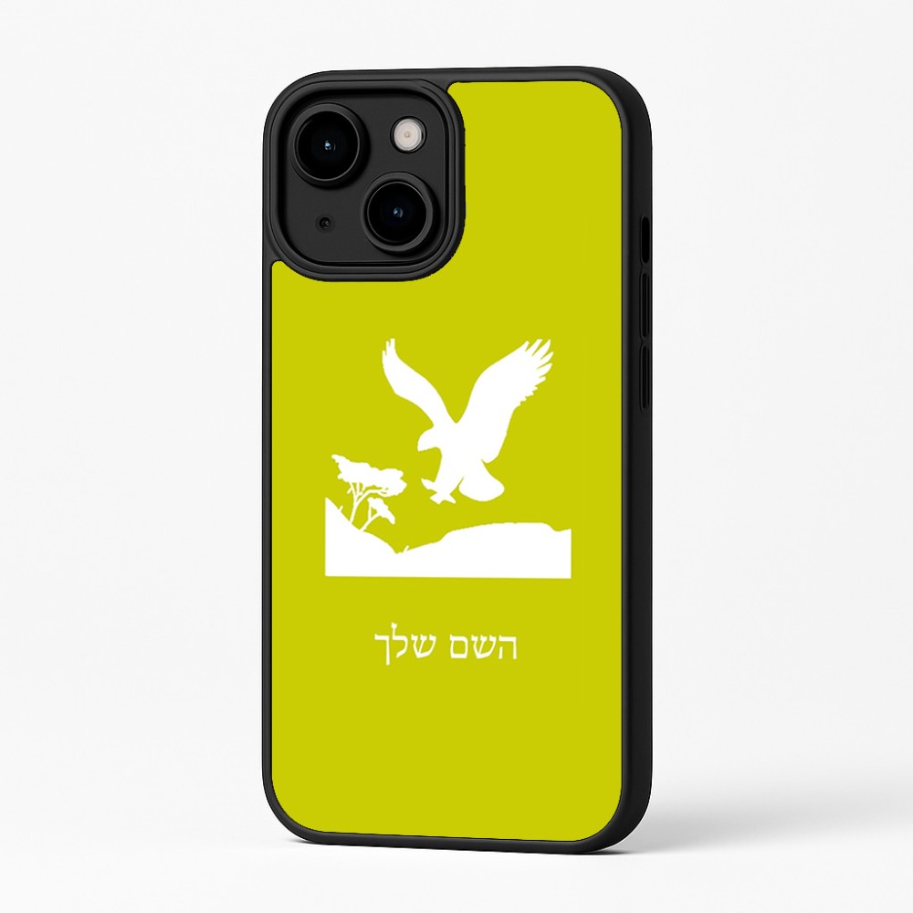 כיסוי בעיצוב אישי עם השם שלך לדגם - Apple iPhone 16 Plus בעיצוב נשר אמריקאי