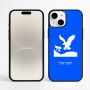 כיסוי בעיצוב אישי עם השם שלך לדגם - Apple iPhone 16 Plus בעיצוב נשר אמריקאי