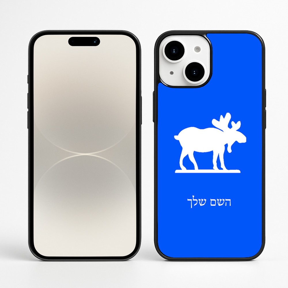 כיסוי בעיצוב אישי עם השם שלך לדגם - Apple iPhone 16 Plus בעיצוב דישון