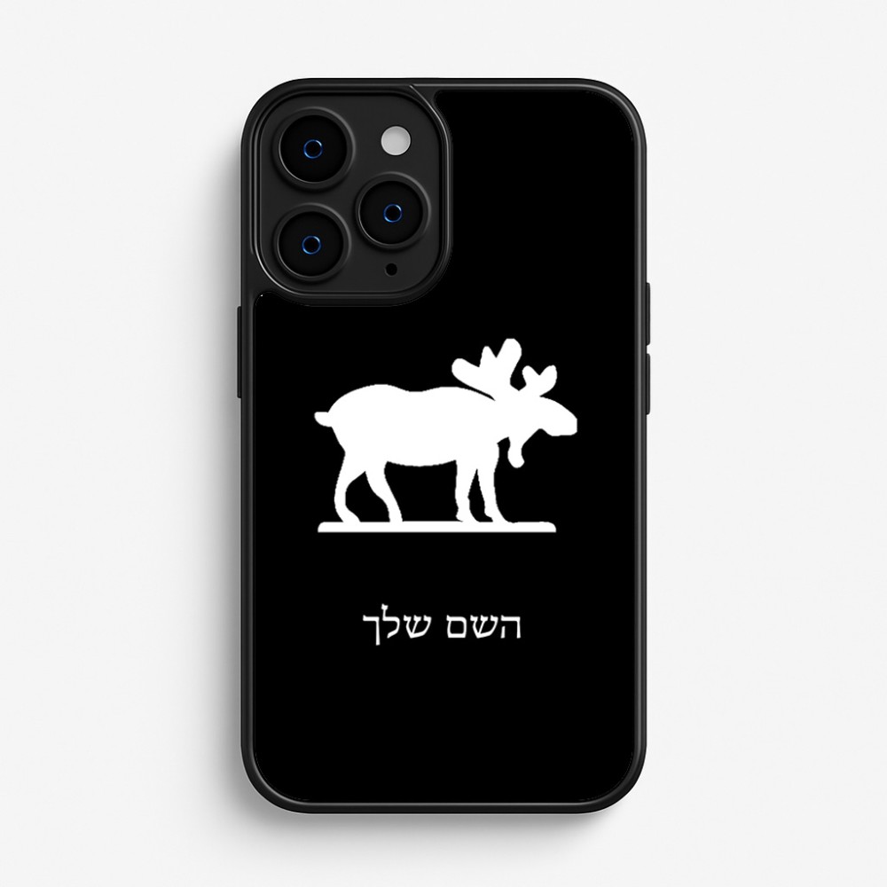 כיסוי בעיצוב אישי עם השם שלך לדגם - Apple iPhone 16 Pro בעיצוב דישון