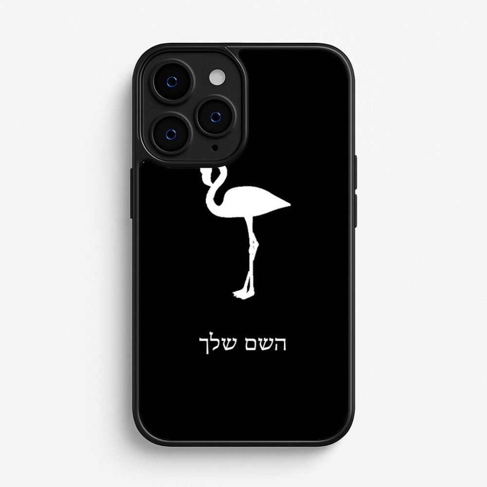 כיסוי בעיצוב אישי עם השם שלך לדגם - Apple iPhone 16 Pro בעיצוב אנפה