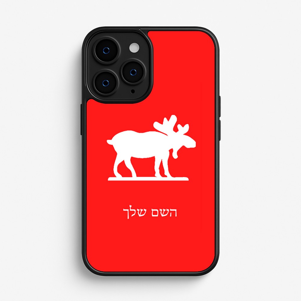 כיסוי בעיצוב אישי עם השם שלך לדגם - Apple iPhone 16 Pro בעיצוב דישון