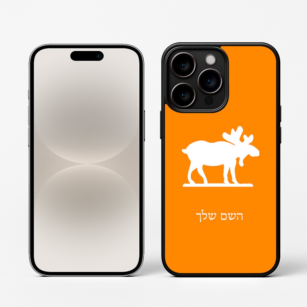 כיסוי בעיצוב אישי עם השם שלך לדגם - Apple iPhone 16 Pro בעיצוב דישון