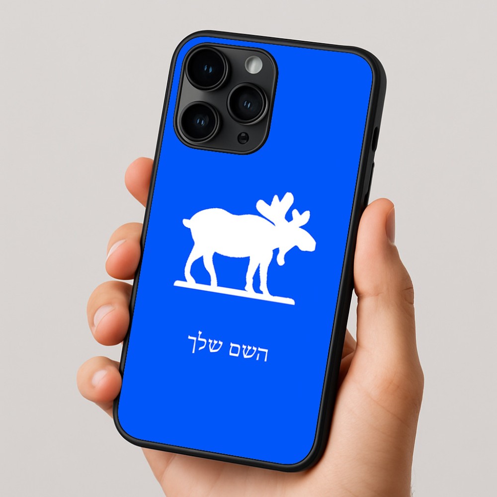 כיסוי בעיצוב אישי עם השם שלך לדגם - Apple iPhone 16 Pro בעיצוב דישון