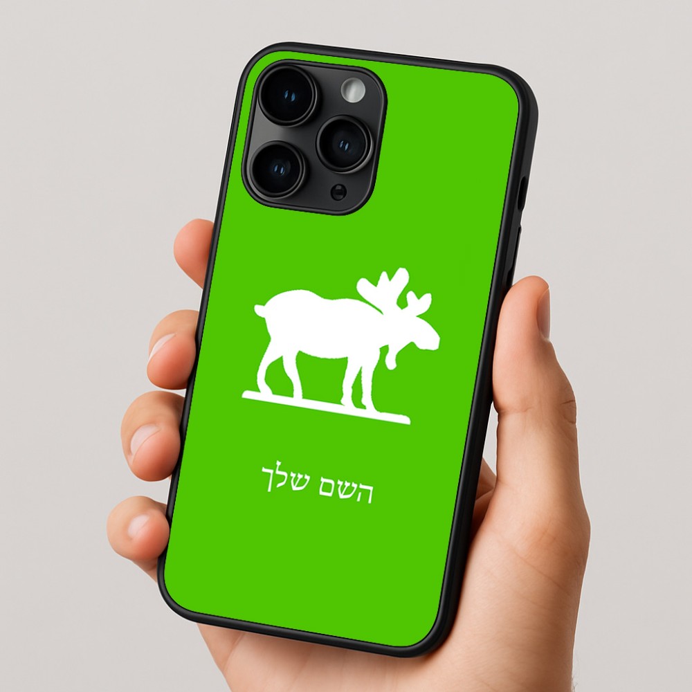 כיסוי בעיצוב אישי עם השם שלך לדגם - Apple iPhone 16 Pro בעיצוב דישון