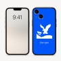 כיסוי בעיצוב אישי עם השם שלך לדגם - Apple iPhone 16 בעיצוב נשר אמריקאי
