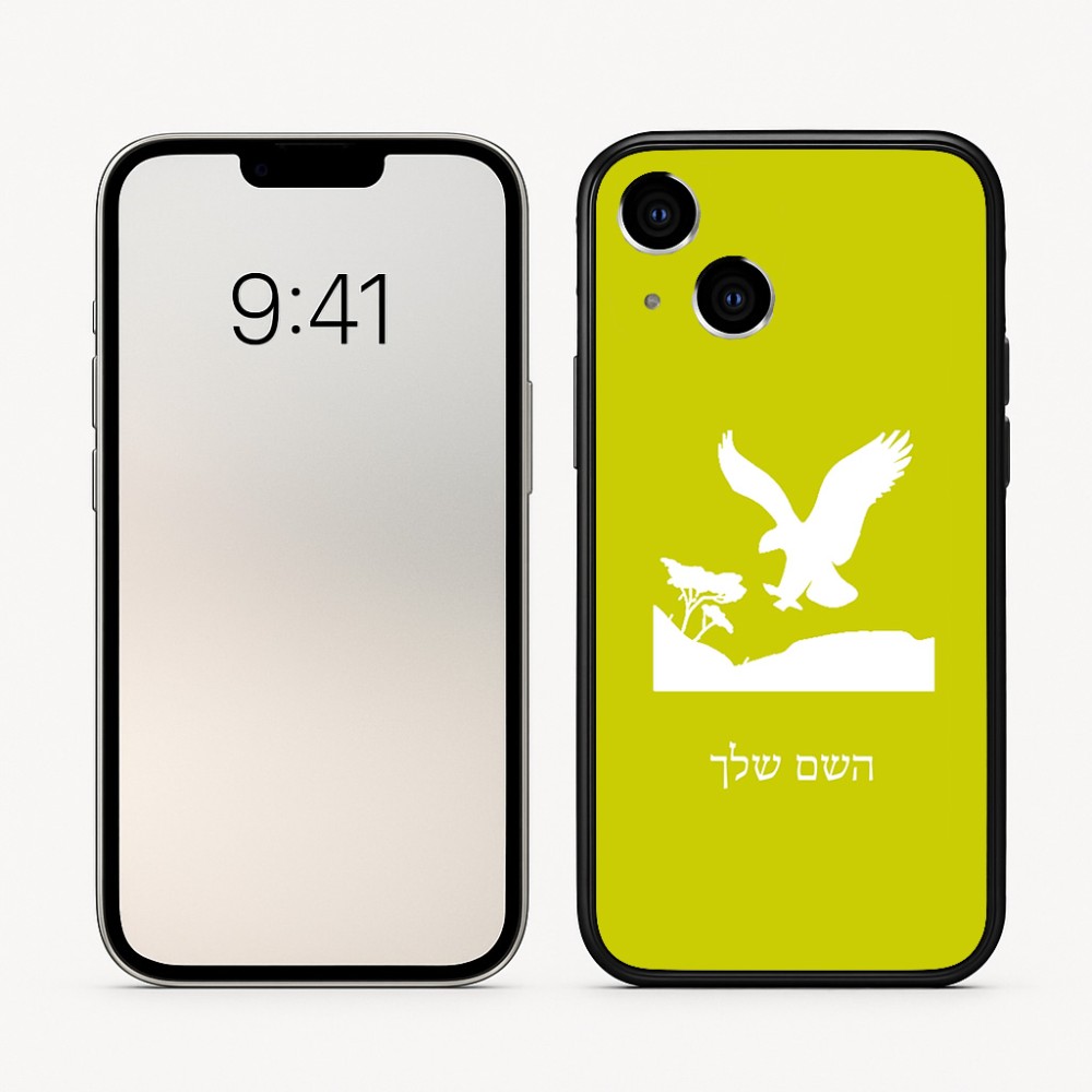 כיסוי בעיצוב אישי עם השם שלך לדגם - Apple iPhone 16 בעיצוב נשר אמריקאי
