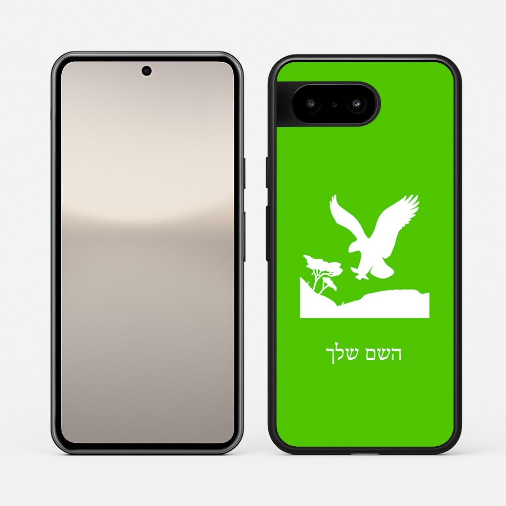 כיסוי בעיצוב אישי עם השם שלך לדגם - Google Pixel 10 5G בעיצוב נשר אמריקאי