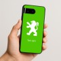 כיסוי בעיצוב אישי עם השם שלך לדגם - Google Pixel 10 5G בעיצוב פיג'ו