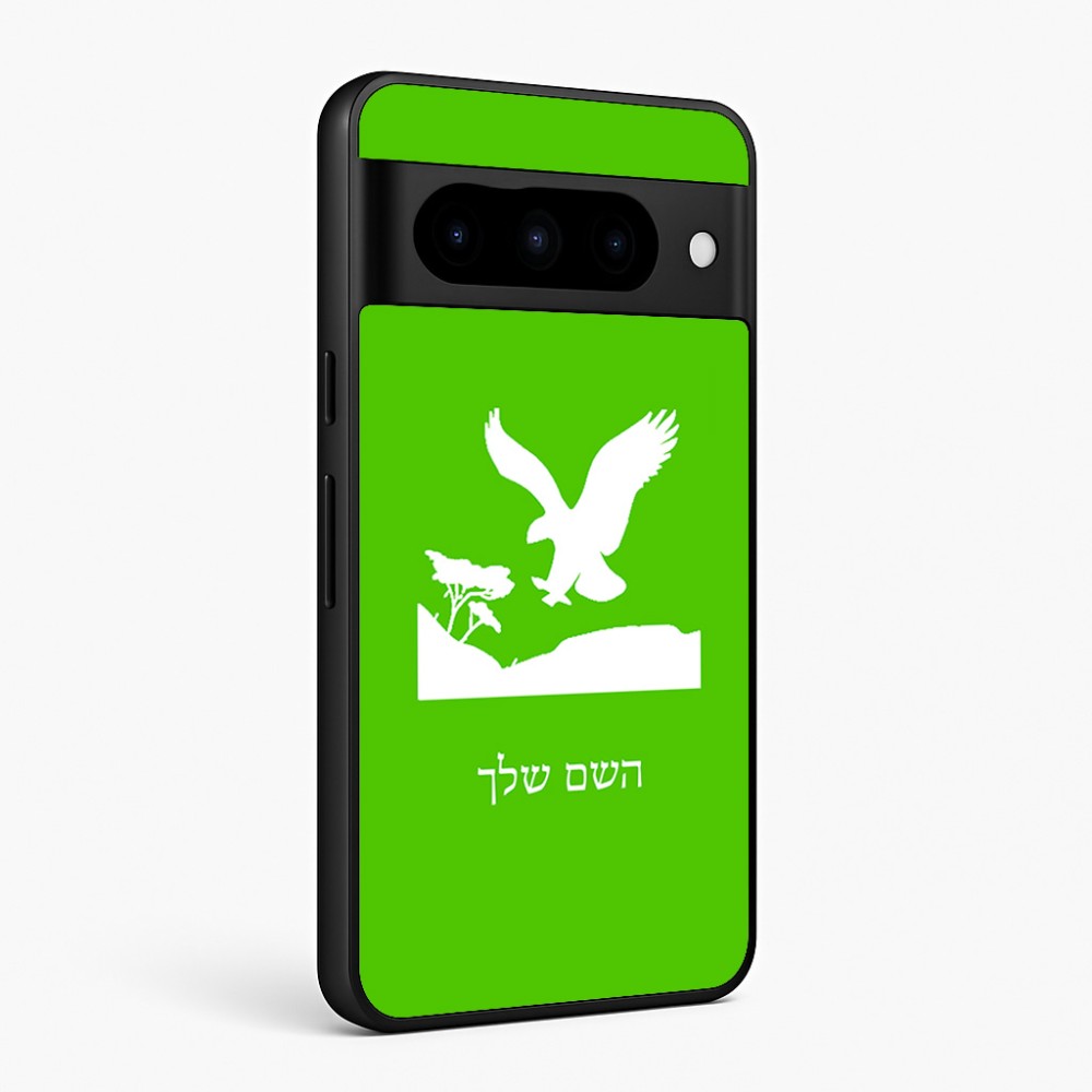 כיסוי בעיצוב אישי עם השם שלך לדגם - Google Pixel 10 Pro 5G בעיצוב נשר אמריקאי