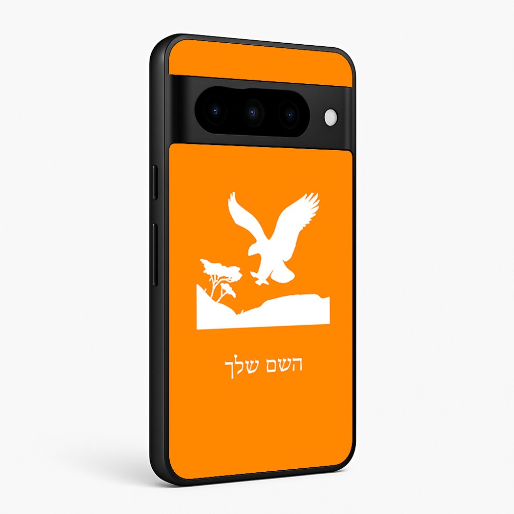 כיסוי בעיצוב אישי עם השם שלך לדגם - Google Pixel 10 Pro 5G בעיצוב נשר אמריקאי