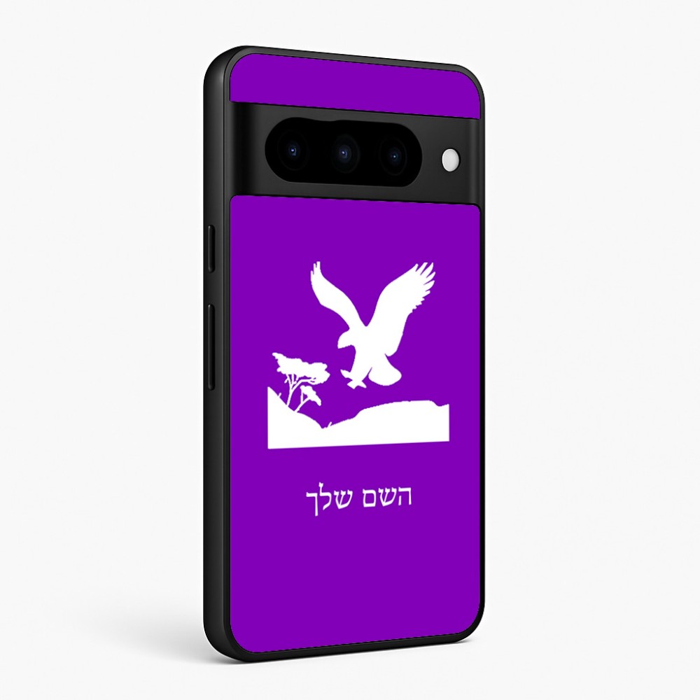 כיסוי בעיצוב אישי עם השם שלך לדגם - Google Pixel 10 Pro 5G בעיצוב נשר אמריקאי