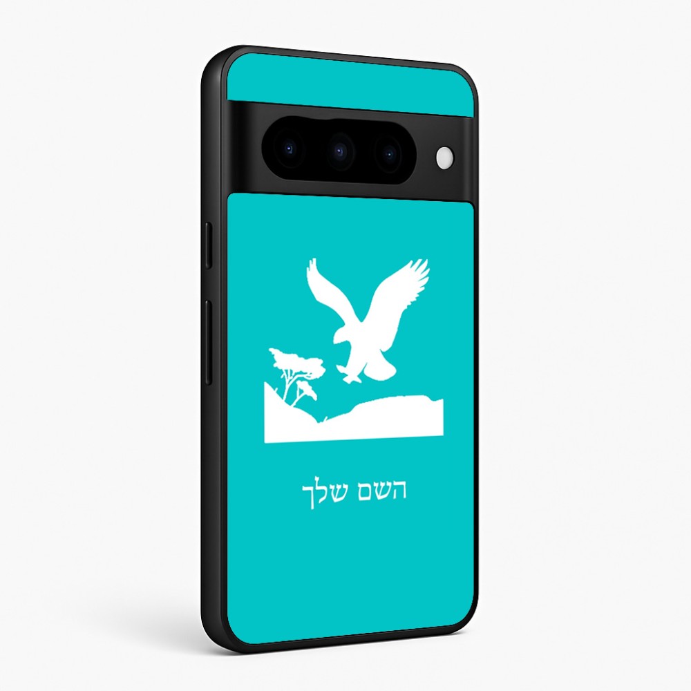 כיסוי בעיצוב אישי עם השם שלך לדגם - Google Pixel 10 Pro 5G בעיצוב נשר אמריקאי