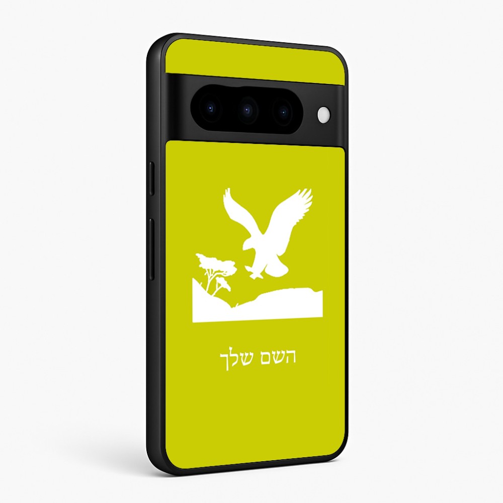 כיסוי בעיצוב אישי עם השם שלך לדגם - Google Pixel 10 Pro 5G בעיצוב נשר אמריקאי