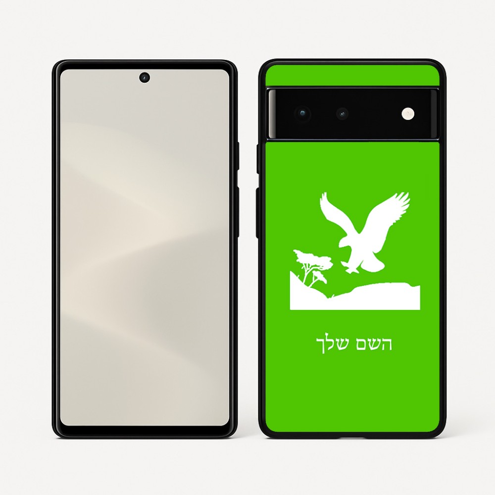 כיסוי בעיצוב אישי עם השם שלך לדגם - Google Pixel 6 5G בעיצוב נשר אמריקאי