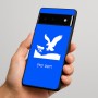 כיסוי בעיצוב אישי עם השם שלך לדגם - Google Pixel 6 Pro 5G בעיצוב נשר אמריקאי