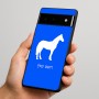 כיסוי בעיצוב אישי עם השם שלך לדגם - Google Pixel 6 Pro 5G בעיצוב סוס