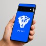 כיסוי בעיצוב אישי עם השם שלך לדגם - Google Pixel 6 Pro 5G בעיצוב פני פנטרה