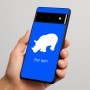כיסוי בעיצוב אישי עם השם שלך לדגם - Google Pixel 6 Pro 5G בעיצוב קרנף