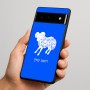 כיסוי בעיצוב אישי עם השם שלך לדגם - Google Pixel 6 Pro 5G בעיצוב מזלות - טלה