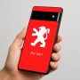 כיסוי בעיצוב אישי עם השם שלך לדגם - Google Pixel 6 Pro 5G בעיצוב פיג'ו