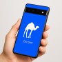 כיסוי בעיצוב אישי עם השם שלך לדגם - Google Pixel 6a 5G בעיצוב גמל