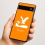כיסוי בעיצוב אישי עם השם שלך לדגם - Google Pixel 6a 5G בעיצוב נשר אמריקאי