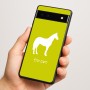 כיסוי בעיצוב אישי עם השם שלך לדגם - Google Pixel 6a 5G בעיצוב סוס