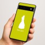 כיסוי בעיצוב אישי עם השם שלך לדגם - Google Pixel 6a 5G בעיצוב נסיכה