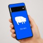 כיסוי בעיצוב אישי עם השם שלך לדגם - Google Pixel 7 Pro 5G בעיצוב חזיר