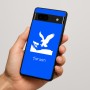 כיסוי בעיצוב אישי עם השם שלך לדגם - Google Pixel 7a 5G בעיצוב נשר אמריקאי