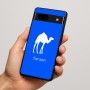 כיסוי בעיצוב אישי עם השם שלך לדגם - Google Pixel 7a 5G בעיצוב גמל